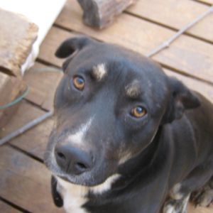 Meet your Posher, Seth